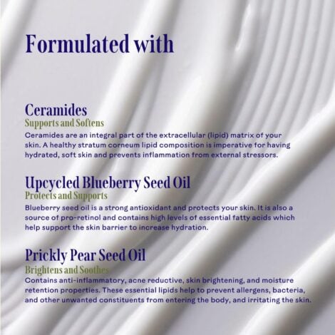 Three Ships Replenish Ceramides Blueberry Barrier Repair Serum, 30 ML - Image 3
